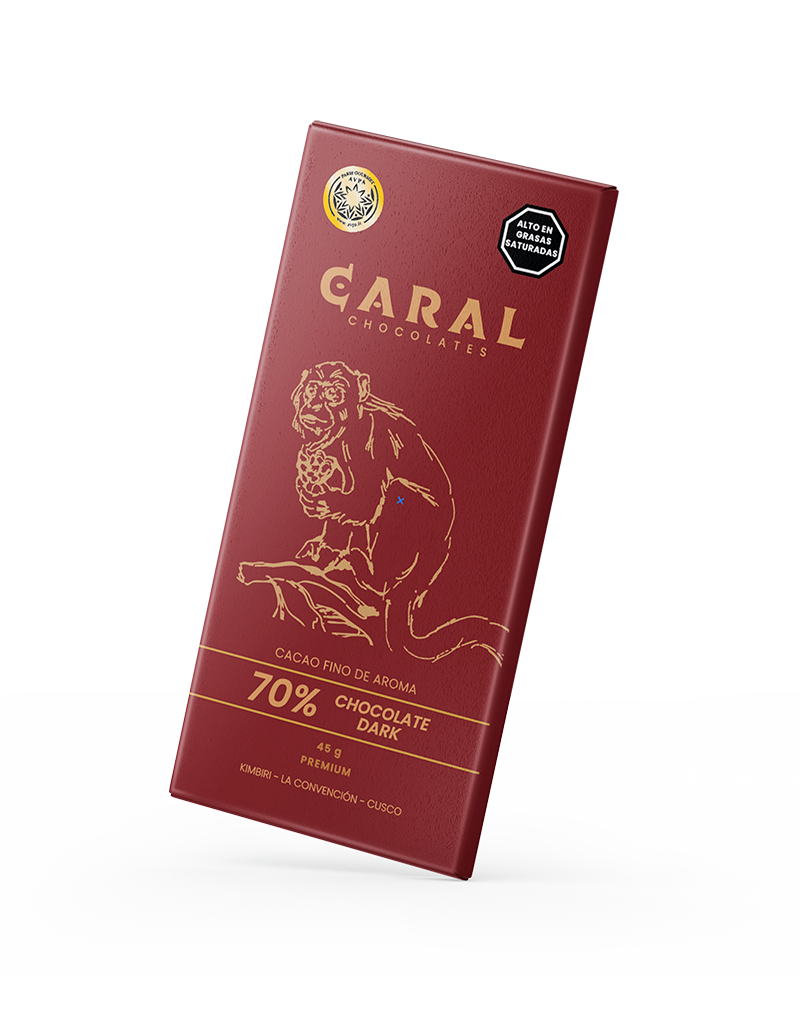 Chocolate DARK 70%